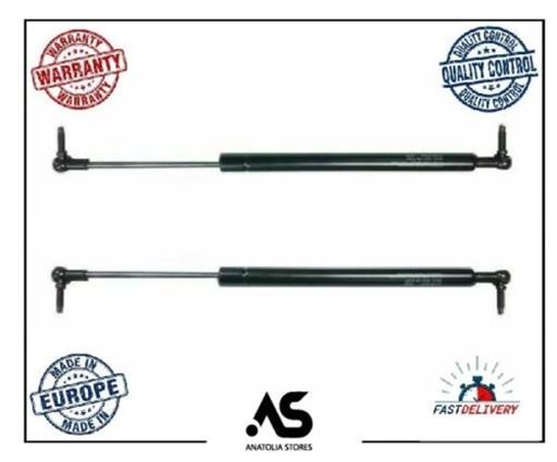 2X TAILGATE BOOT GAS STRUTS