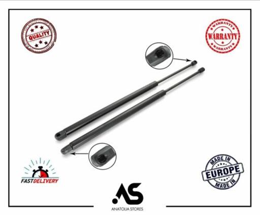 TAILGATE BOOT GAS STRUTS REAR W639